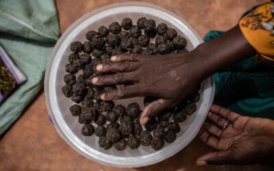 Empowered Entrepreneurs in Burkina Faso