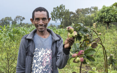 How can ending hunger address climate change?