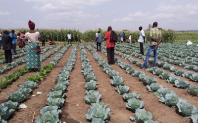 World Food Day 2020: Grow, Nourish, Sustain. Together.