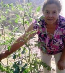 Josefina Mexico Oct 2011.preview