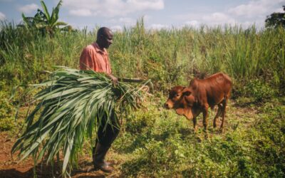 World Food Day 2022: Leave No One Behind